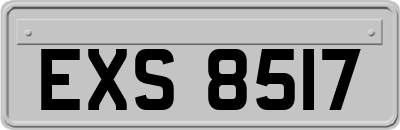 EXS8517