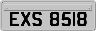 EXS8518