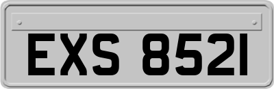 EXS8521