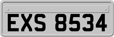 EXS8534
