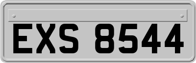 EXS8544