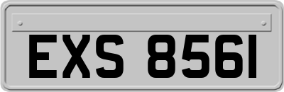 EXS8561