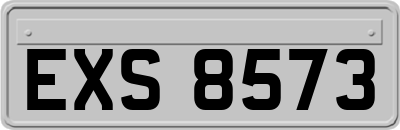 EXS8573