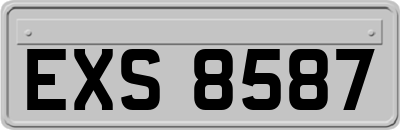 EXS8587