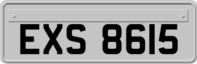 EXS8615