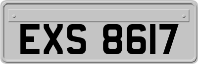 EXS8617