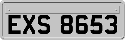 EXS8653