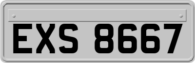 EXS8667