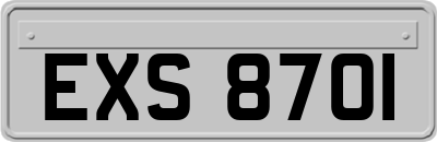EXS8701