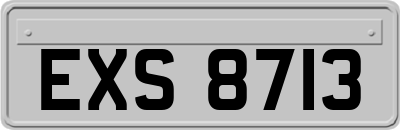 EXS8713