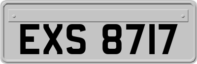 EXS8717