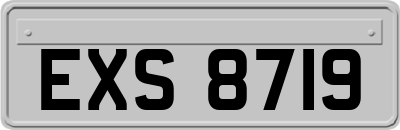 EXS8719
