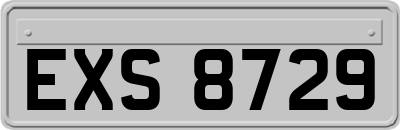 EXS8729