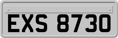 EXS8730