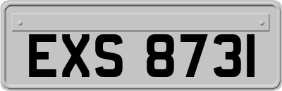 EXS8731