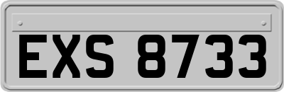 EXS8733