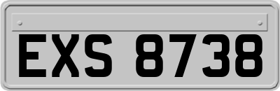 EXS8738