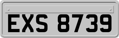 EXS8739