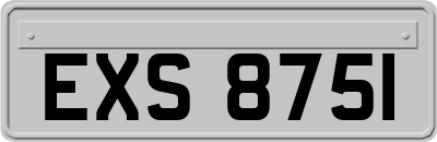 EXS8751