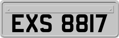 EXS8817