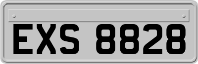 EXS8828