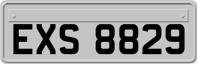 EXS8829