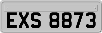 EXS8873