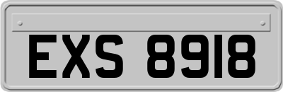 EXS8918