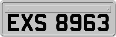 EXS8963