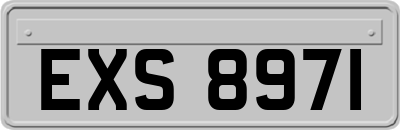 EXS8971