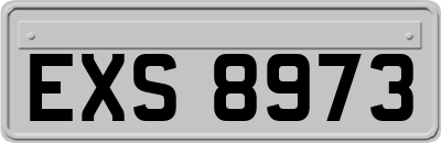 EXS8973