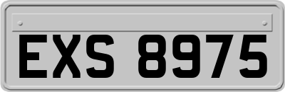 EXS8975