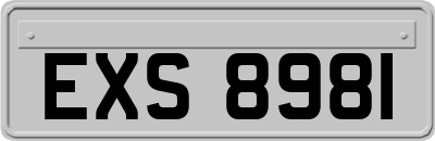 EXS8981