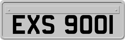 EXS9001