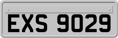 EXS9029