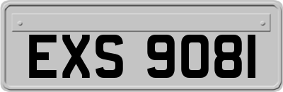 EXS9081