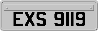EXS9119