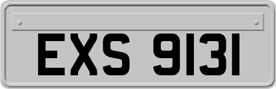 EXS9131