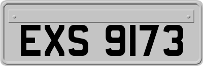 EXS9173