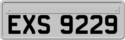 EXS9229