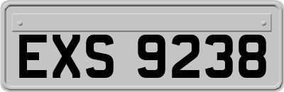 EXS9238