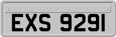 EXS9291