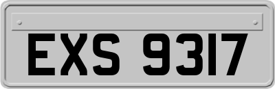 EXS9317