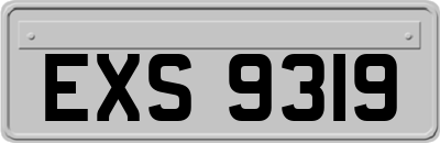 EXS9319