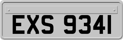 EXS9341