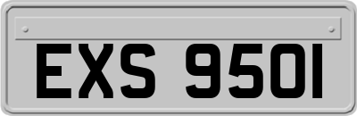 EXS9501