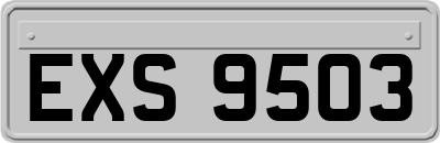 EXS9503