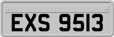 EXS9513