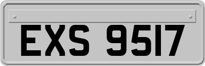 EXS9517