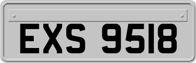 EXS9518